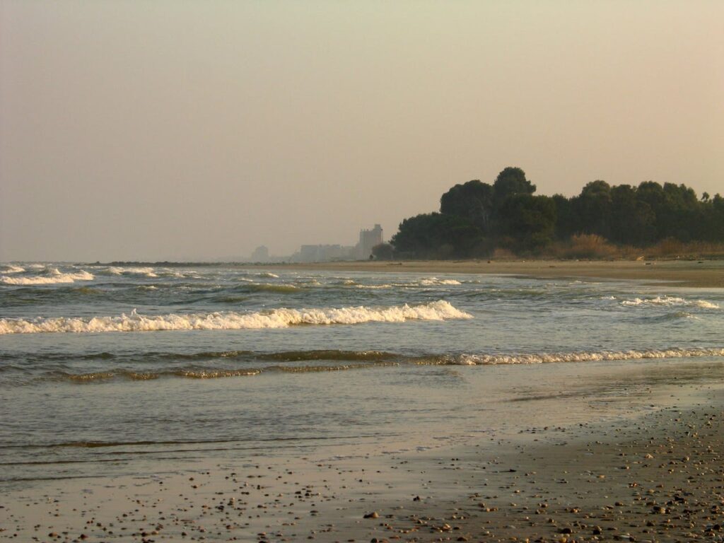 DETECTION METAUX PLAGE