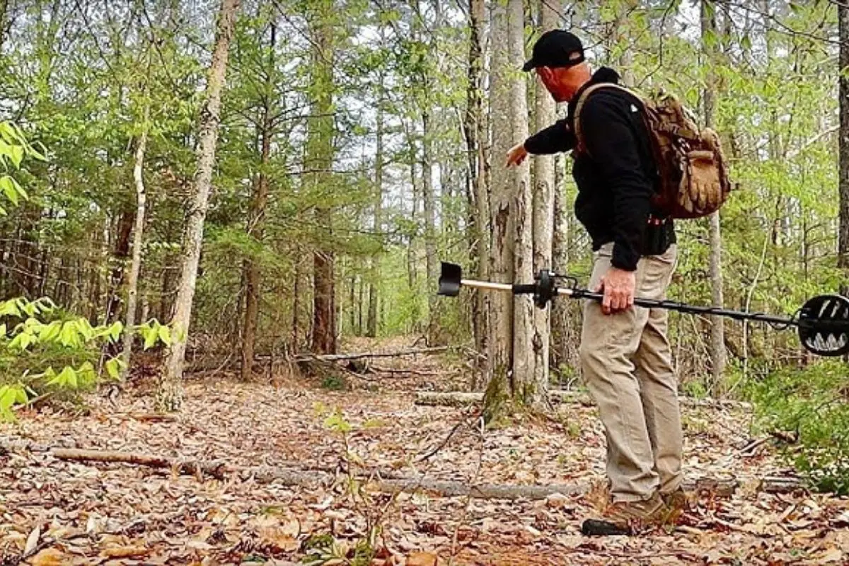 Detecteur-metaux-dans-les-bois