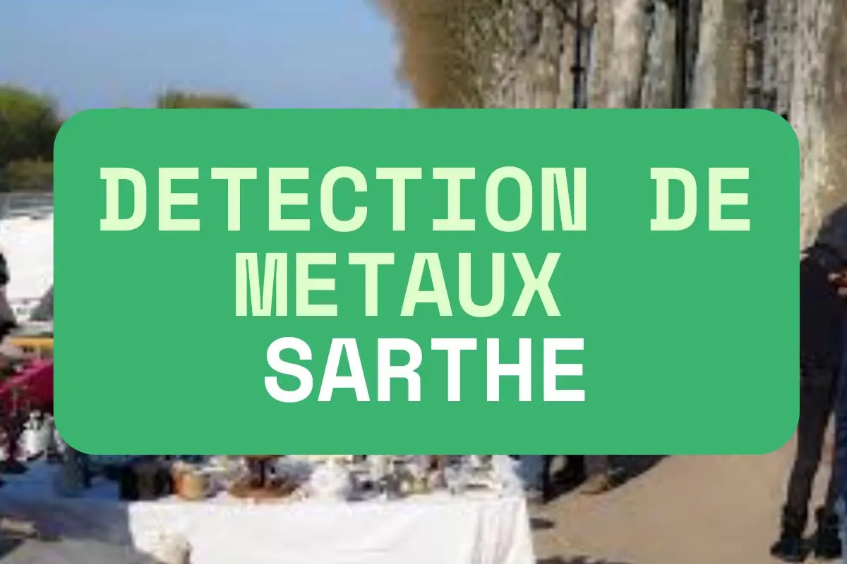 DETECTION METAUX SARTHE