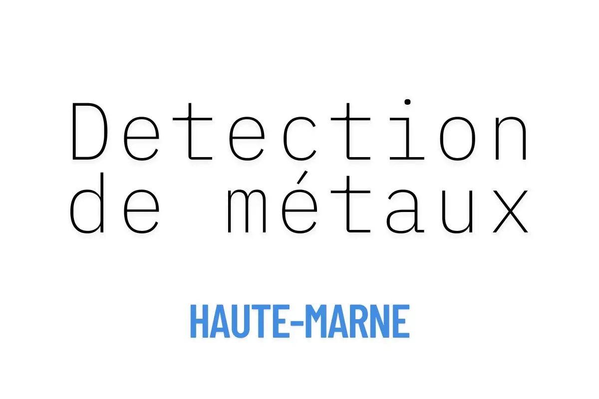 Détection de métaux dans la Haute-Marne (52) : Guide complet