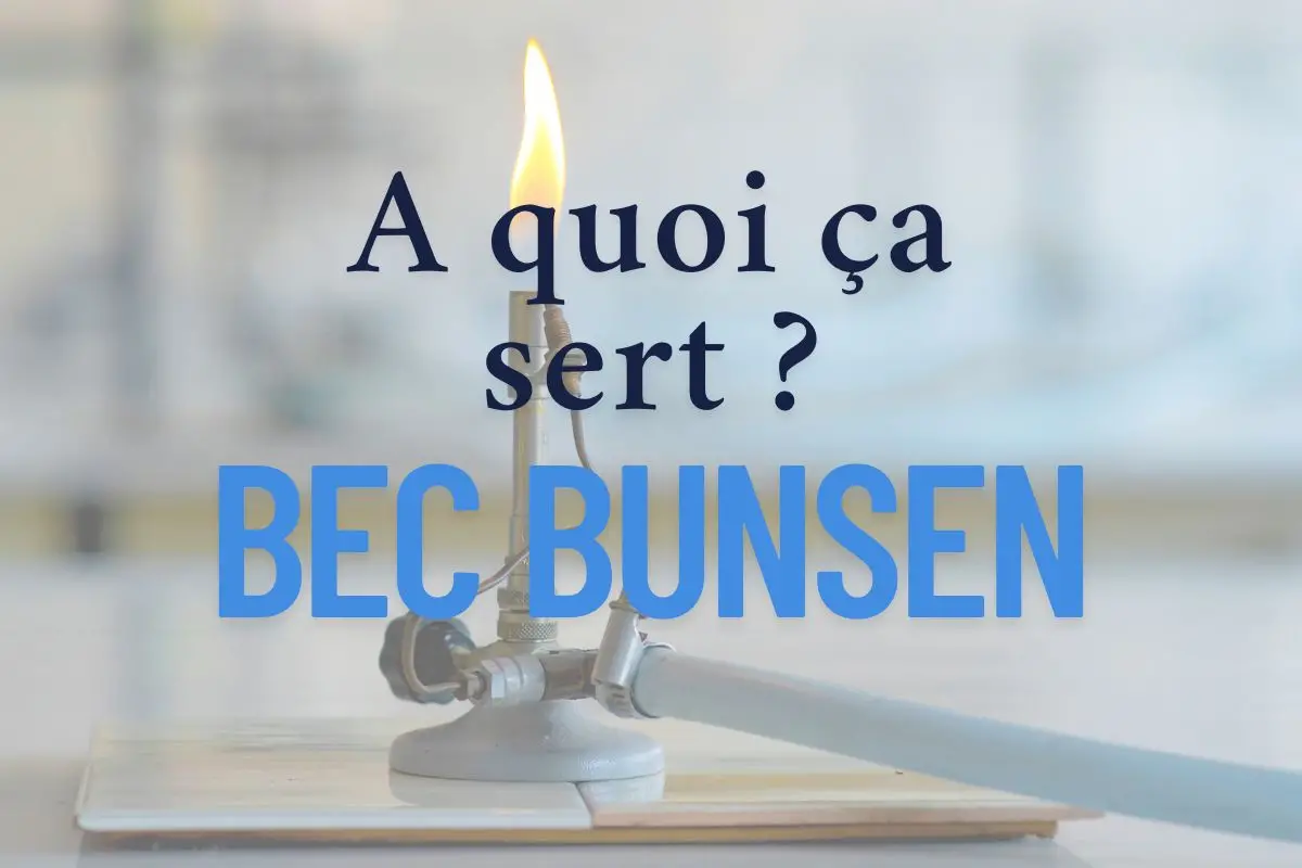 bec bunsen
