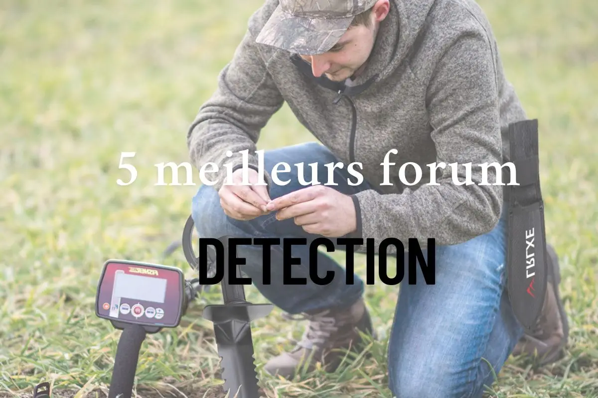 meilleurs forum detection métaux