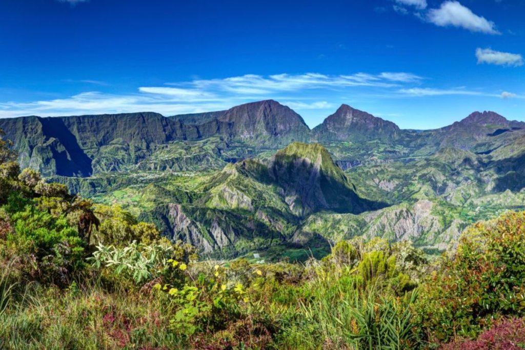 Détection de métaux la réunion