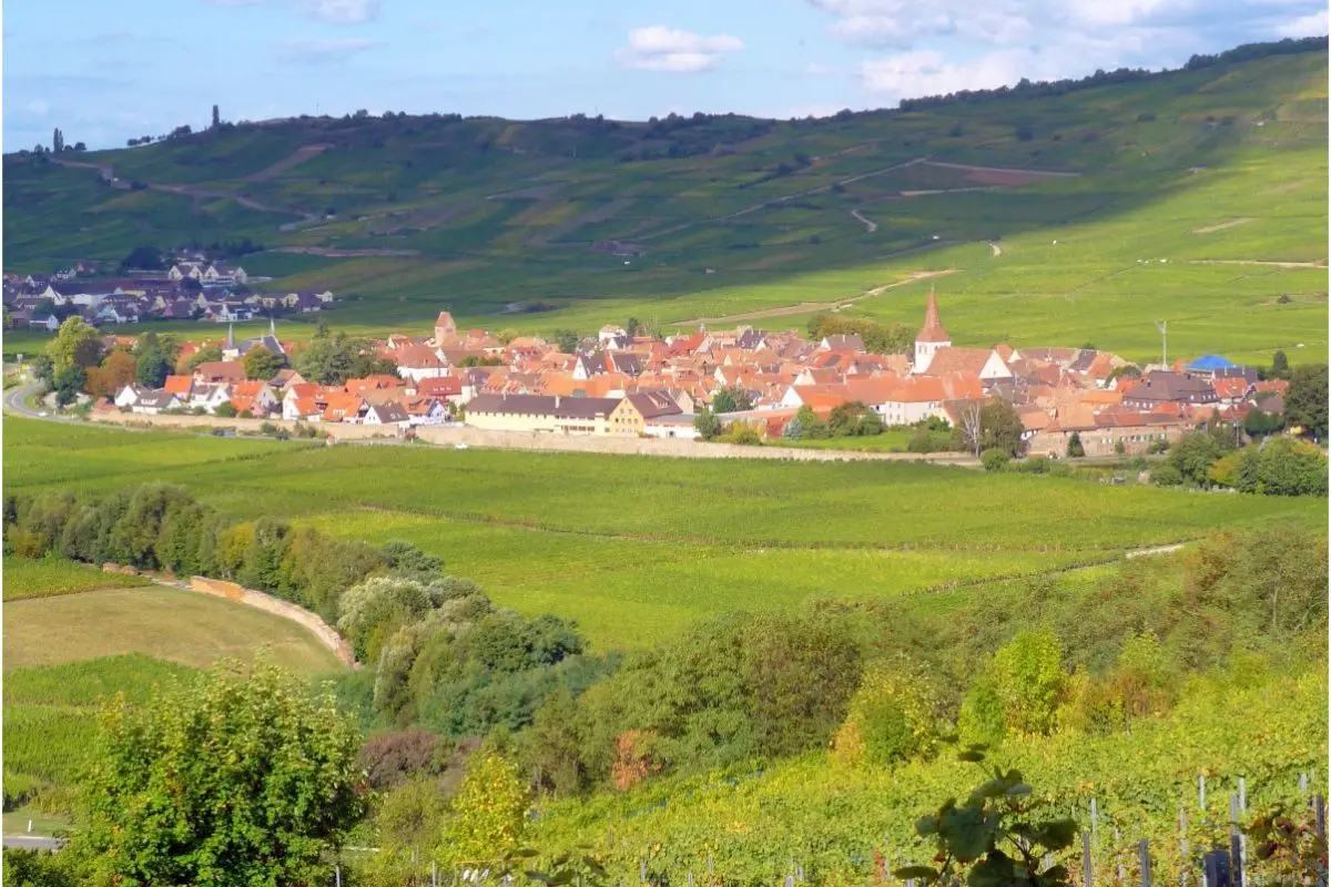 Détection métaux haut rhin