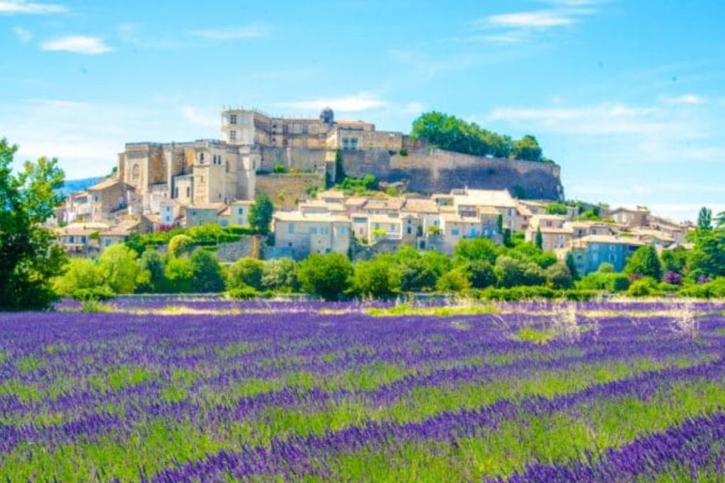 Détection métaux vaucluse