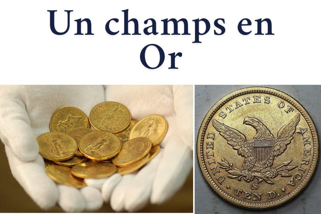 Un champ en Or