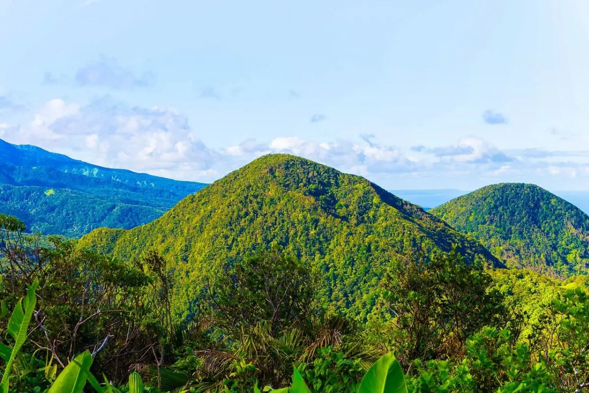 Détection de métaux en Guadeloupe (971) : guide complet pour explorer l’archipel antillais