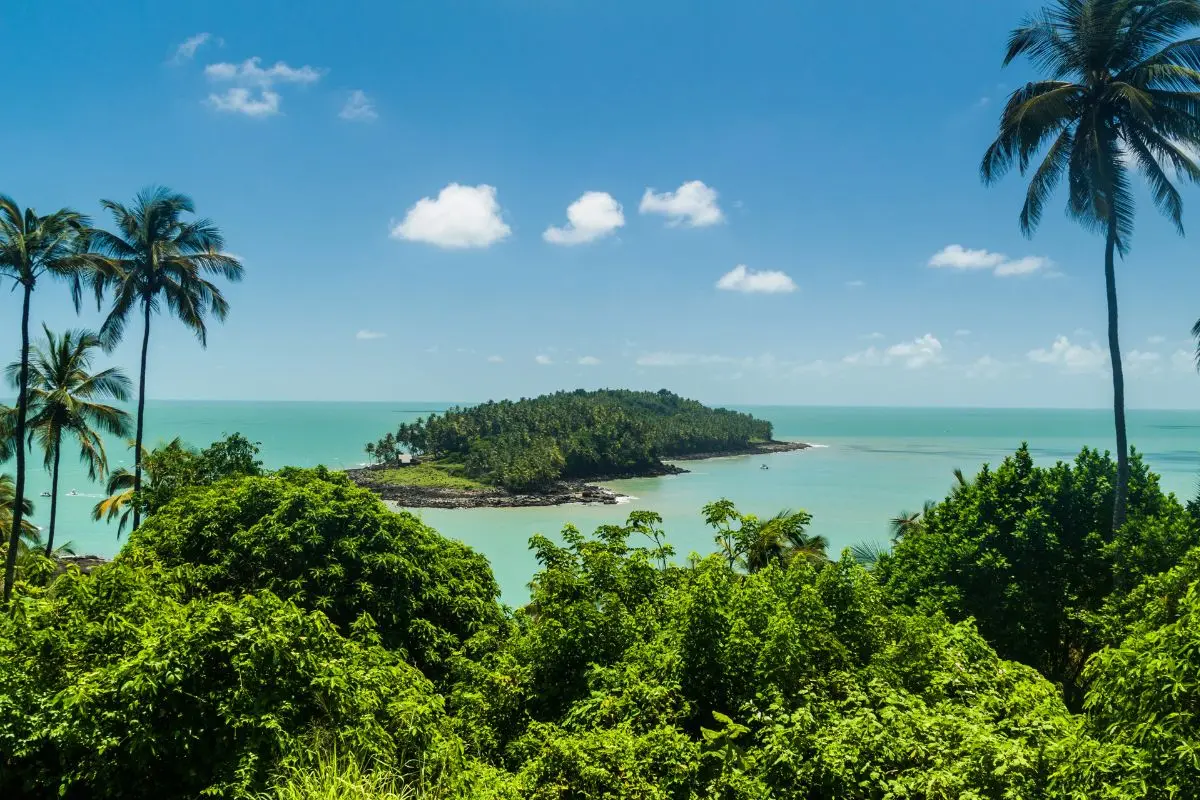 détection de métaux guyane