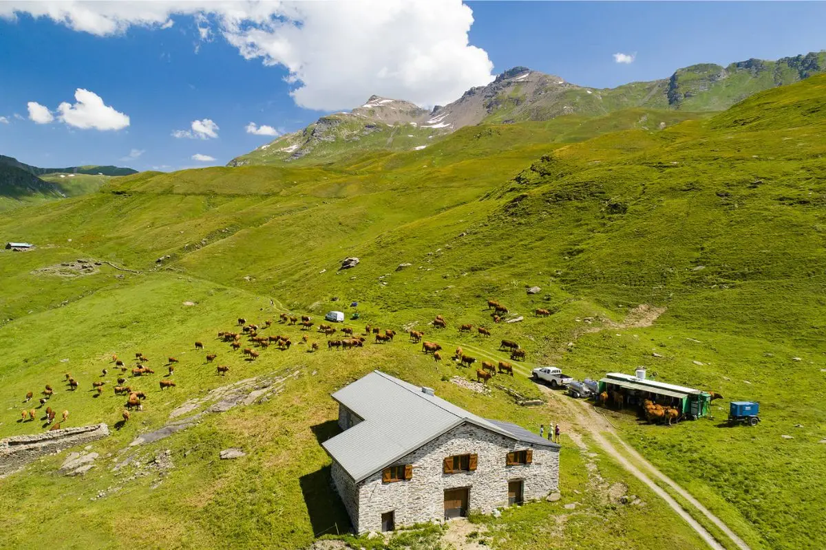 détection métaux savoie