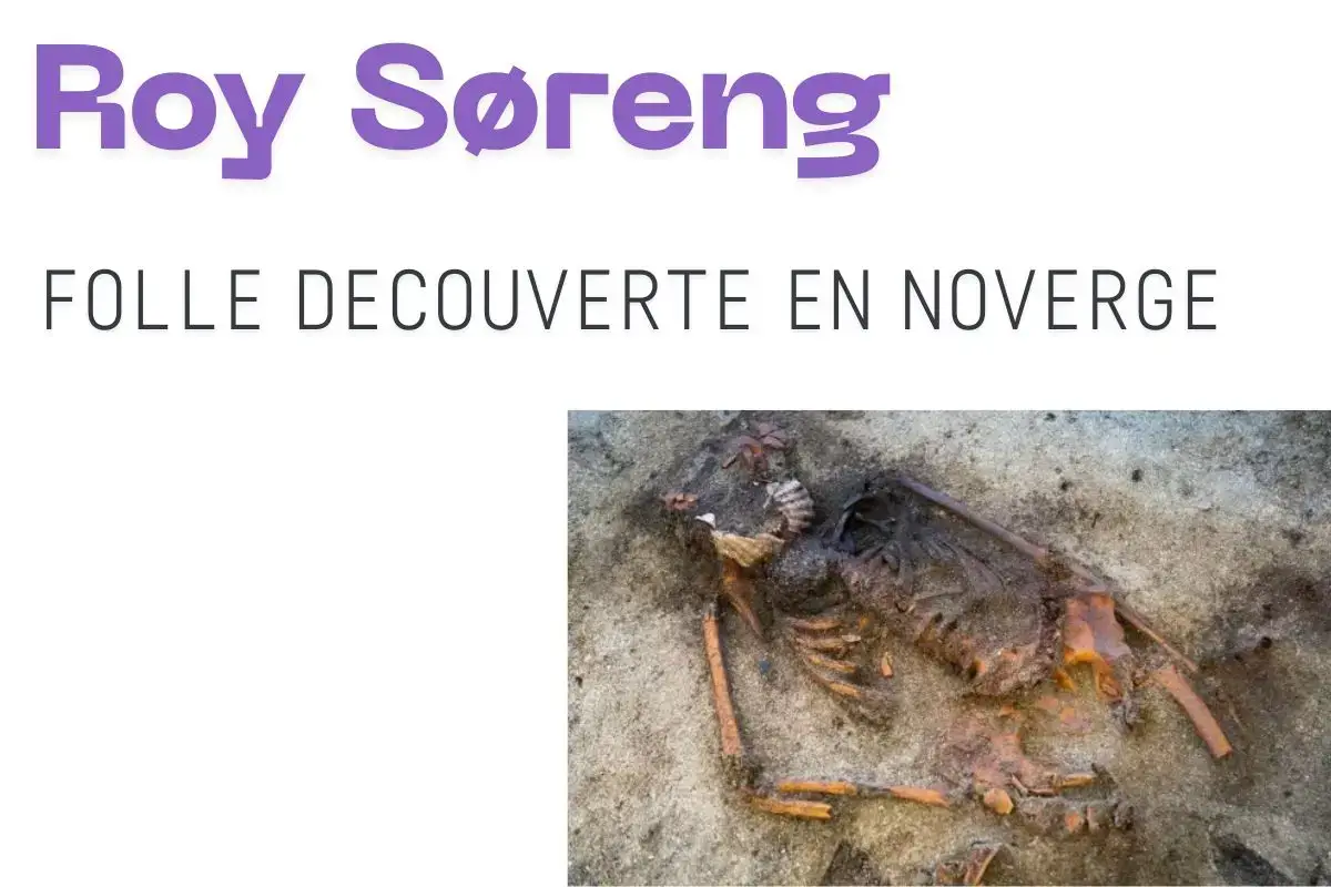 Découverte détecteur de métaux norvege